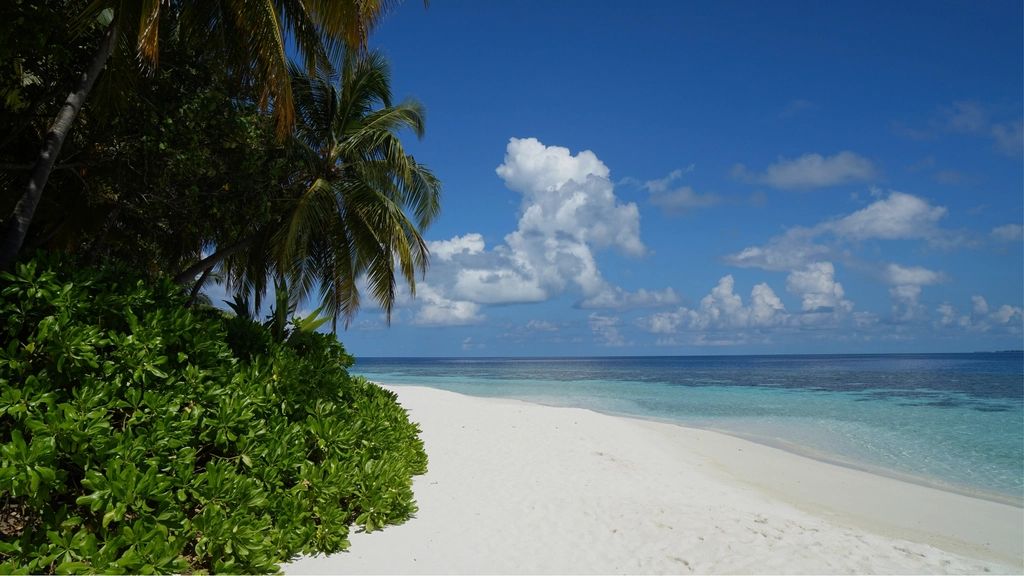 The beach and the water beyond it